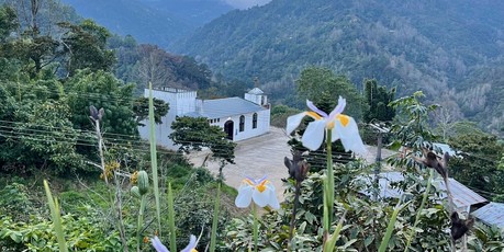 Flower-filled foreground with mountains in Huautla de Jiménez