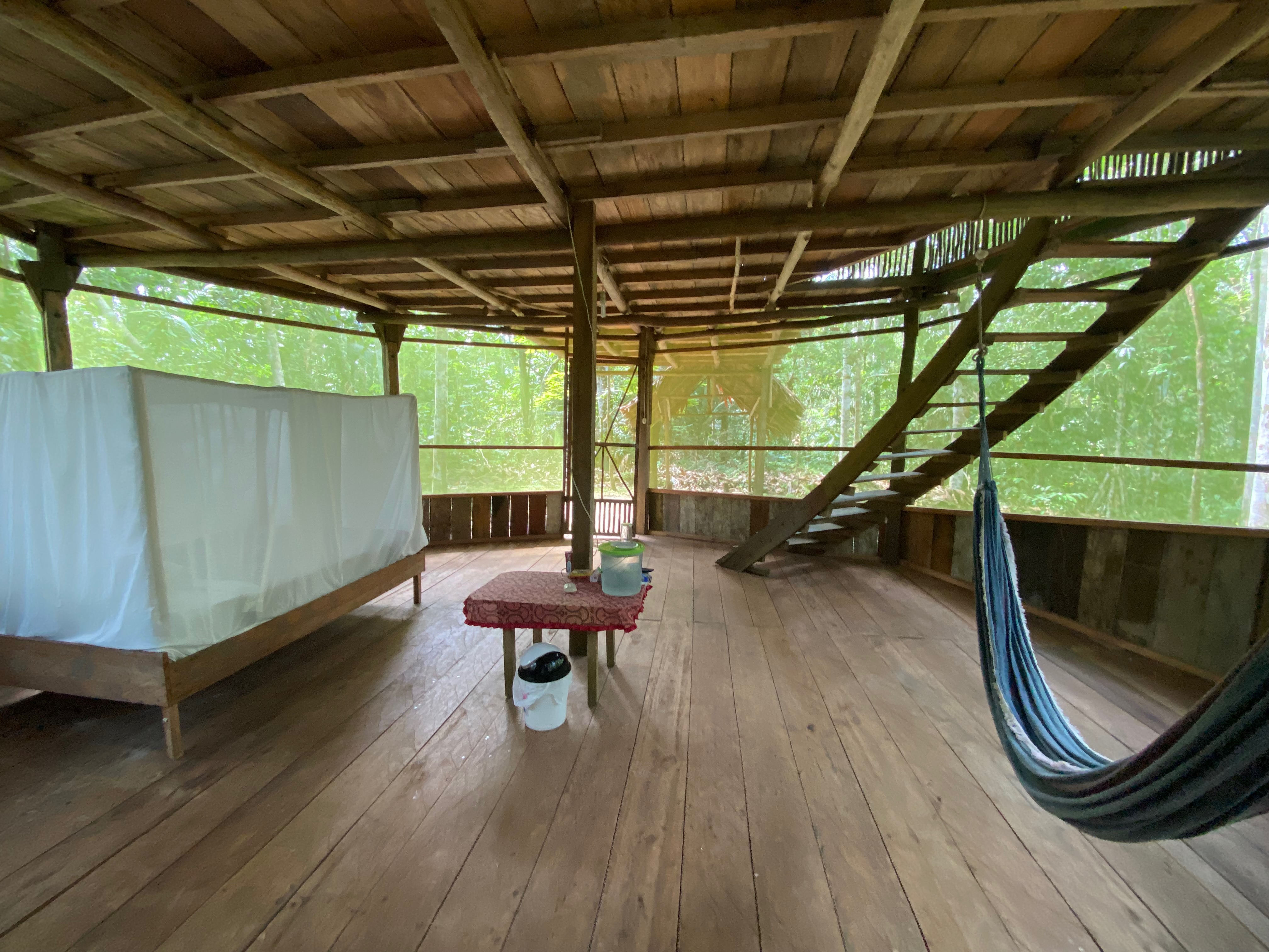 Jungle cottage with canopy bed and hammock